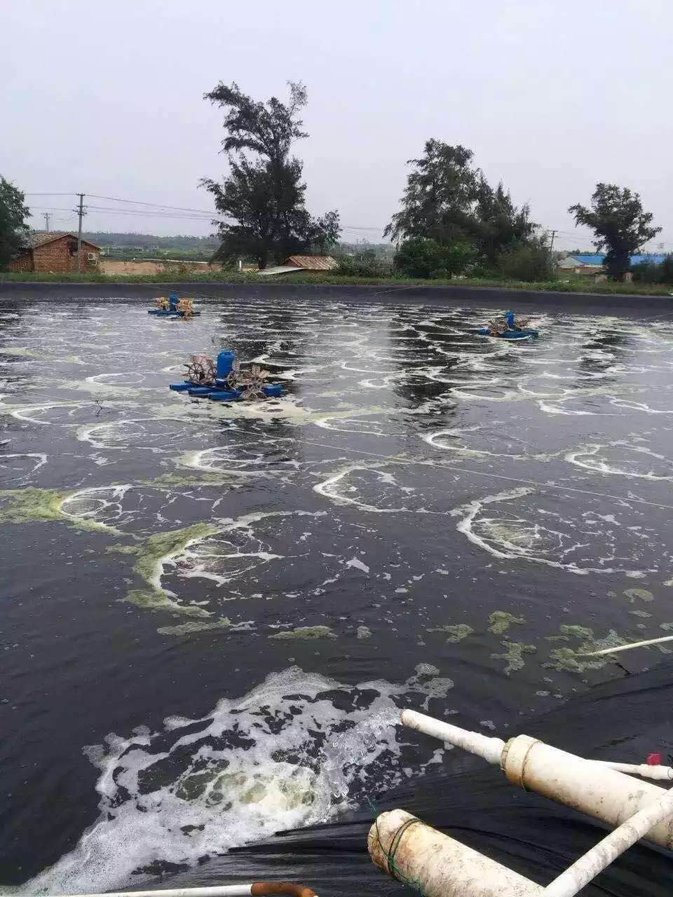 養殖用羅茨風機