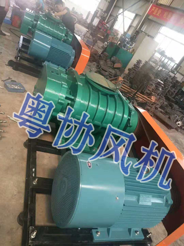 珠海羅茨風機