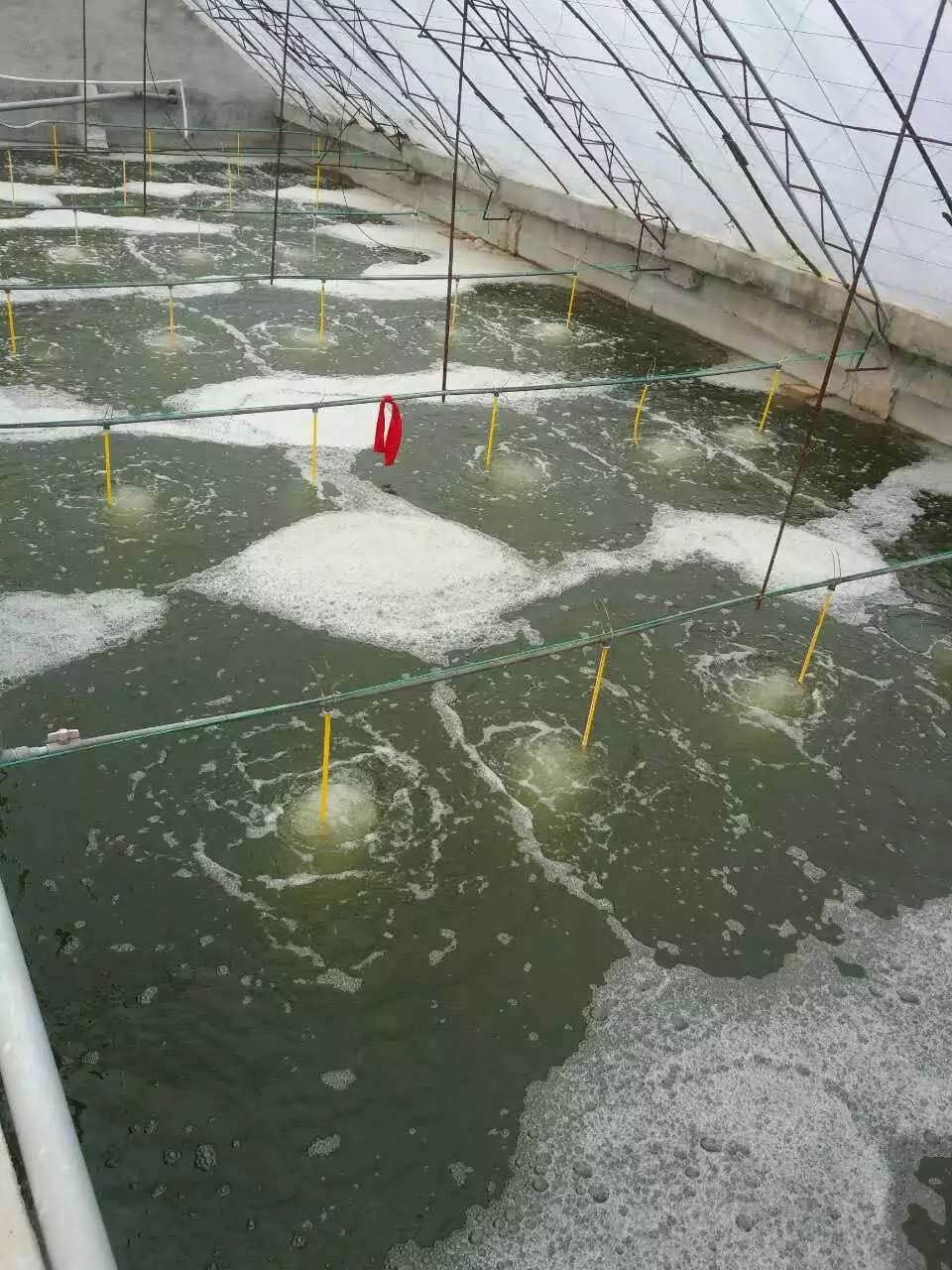 水產養殖案例